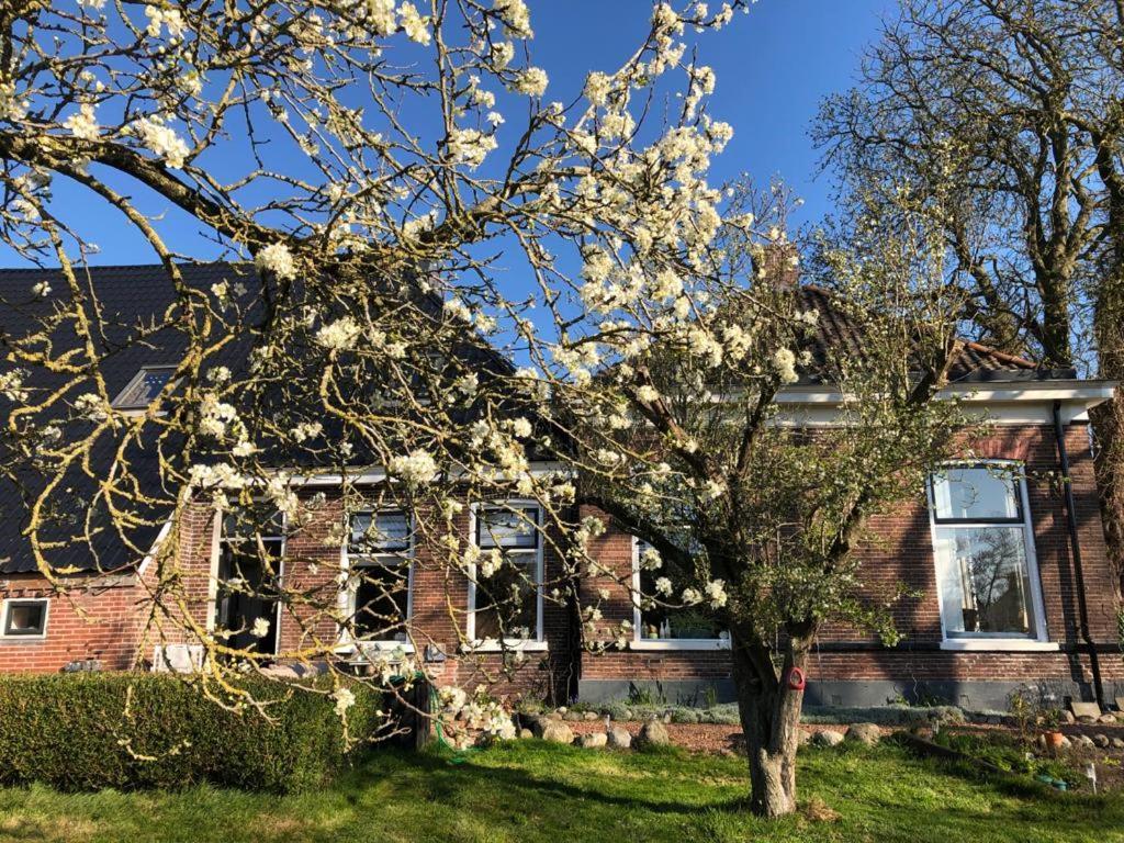 Bed and Breakfast Onder De Boom Gerkesklooster Esterno foto